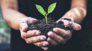 Why It’s Important to Flow with Annual Business Cycles