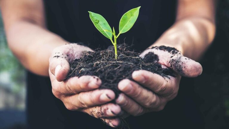 Why It’s Important to Flow with Annual Business Cycles